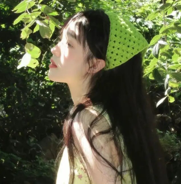少年间谍第一季